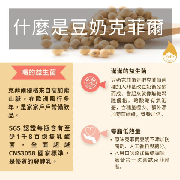 Soybean Fruit Kefir：圖片 2
