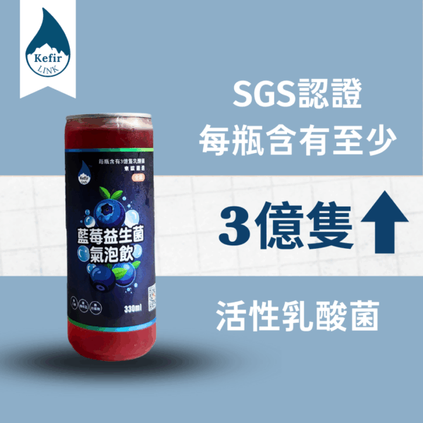 Water Kefir：圖片 4