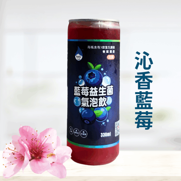 Water Kefir<span> - </span>沁香藍莓-blueberry-330ml