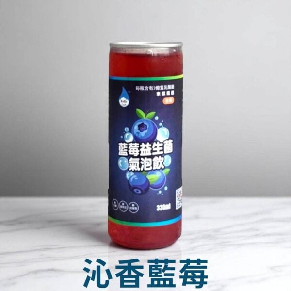 Water Kefir<span> - </span>沁香藍莓-blueberry-330ml