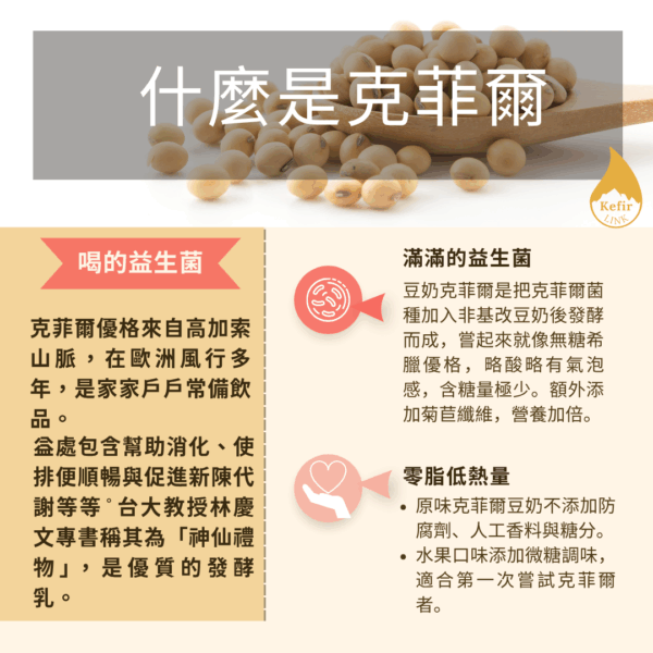 SUBSCRIBE 14 Soybean Kefir Every 3 Weeks- Original 240g：圖片 5