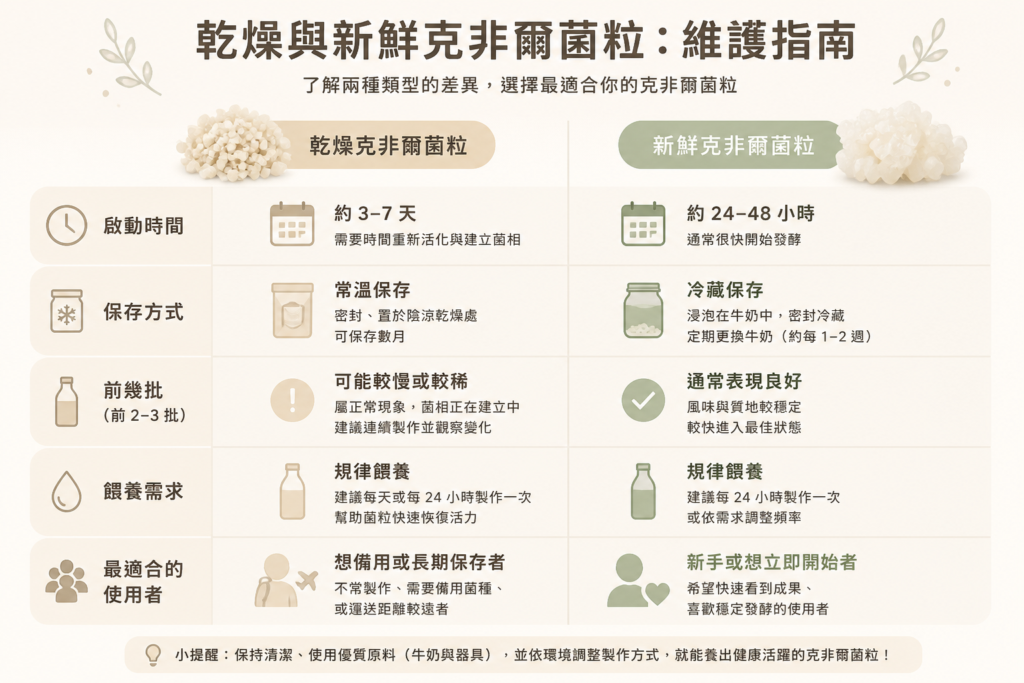 資訊圖表比較：乾燥開菲爾菌粒與新鮮開菲爾菌粒的啟動時間、保存、維護與最佳用途