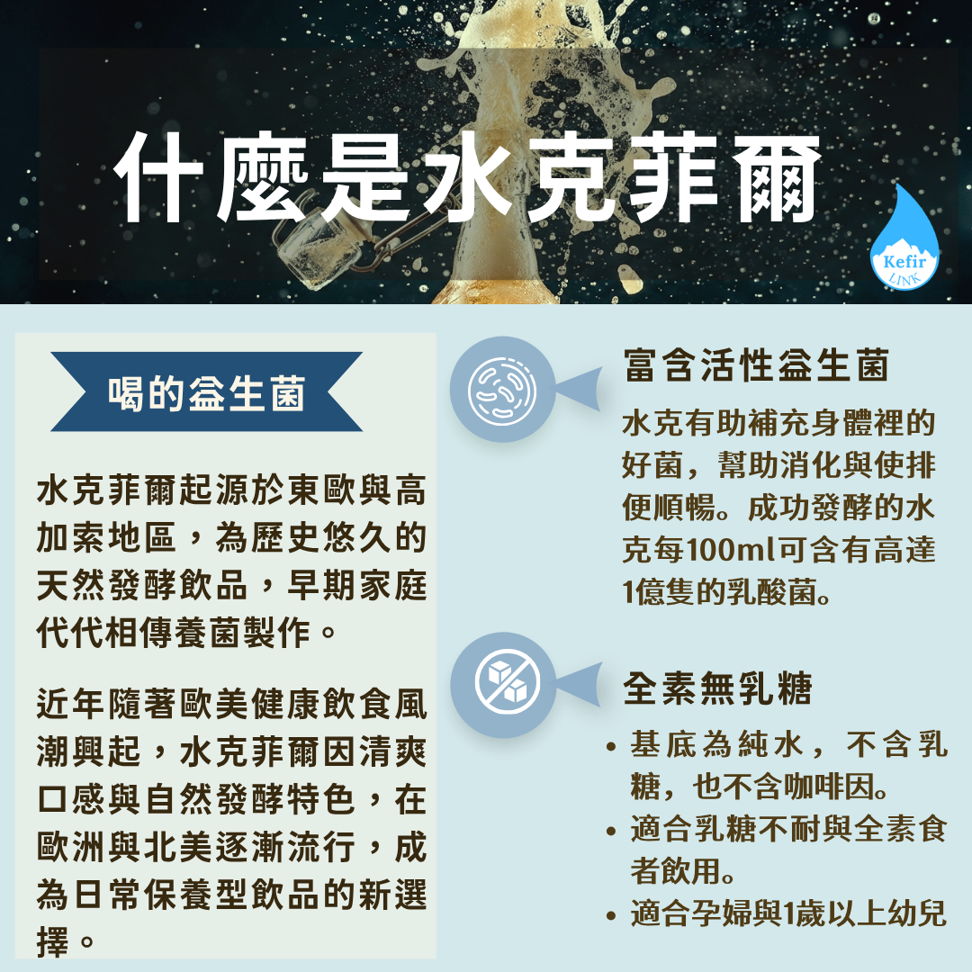 Water Kefir Grains Starter Kit｜100g：圖片 2