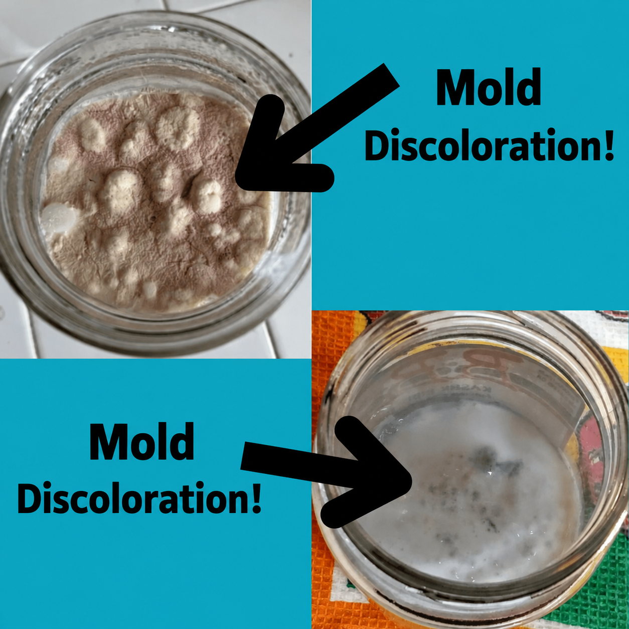 Green, pink, red or black discoloration may indicate mold; discard the affected batch.
