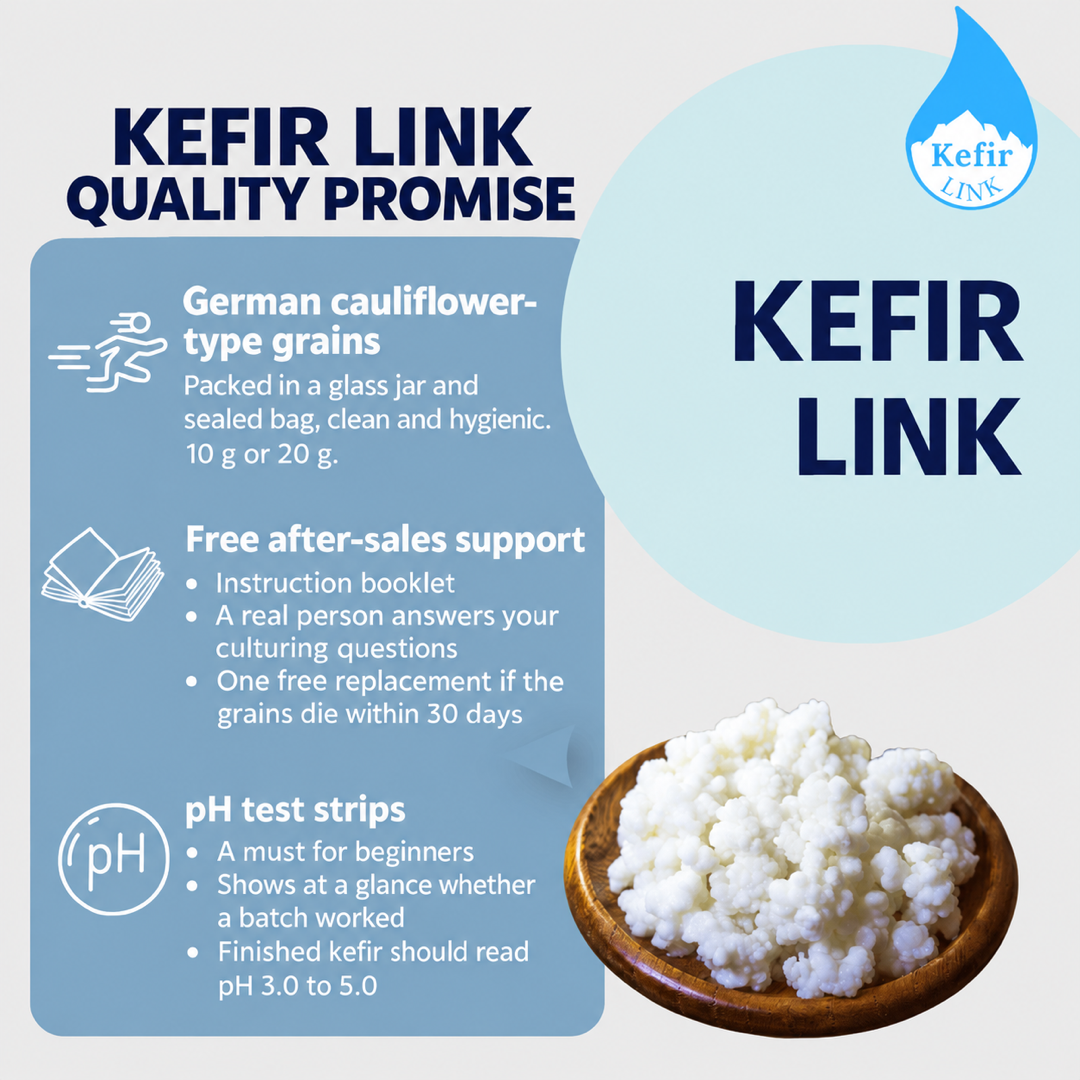 Kefir Link quality promise: German cauliflower-type grains in a glass jar and sealed bag (10 g or 20 g), free after-sales support with a care booklet and 30-day replacement, pH test strips