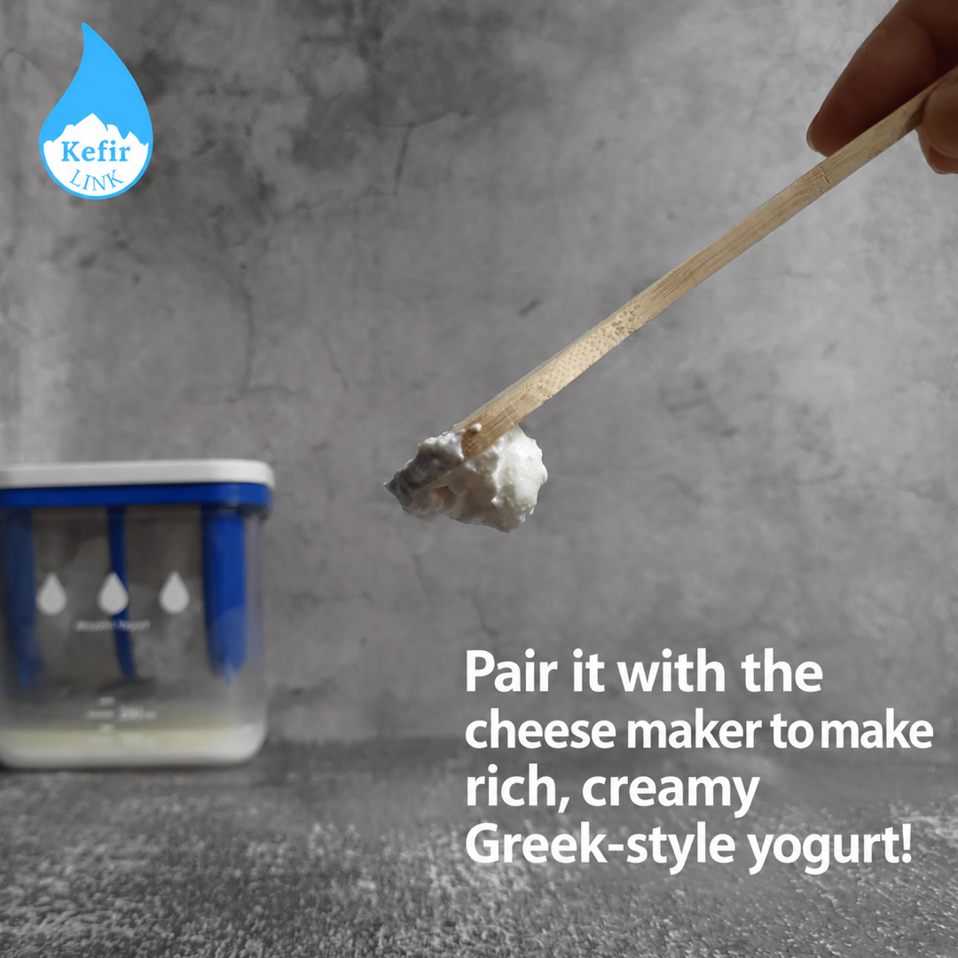 Kefir yogurt on a spoon next to the cheese maker: pair it with the cheese maker to make rich, creamy Greek-style yogurt