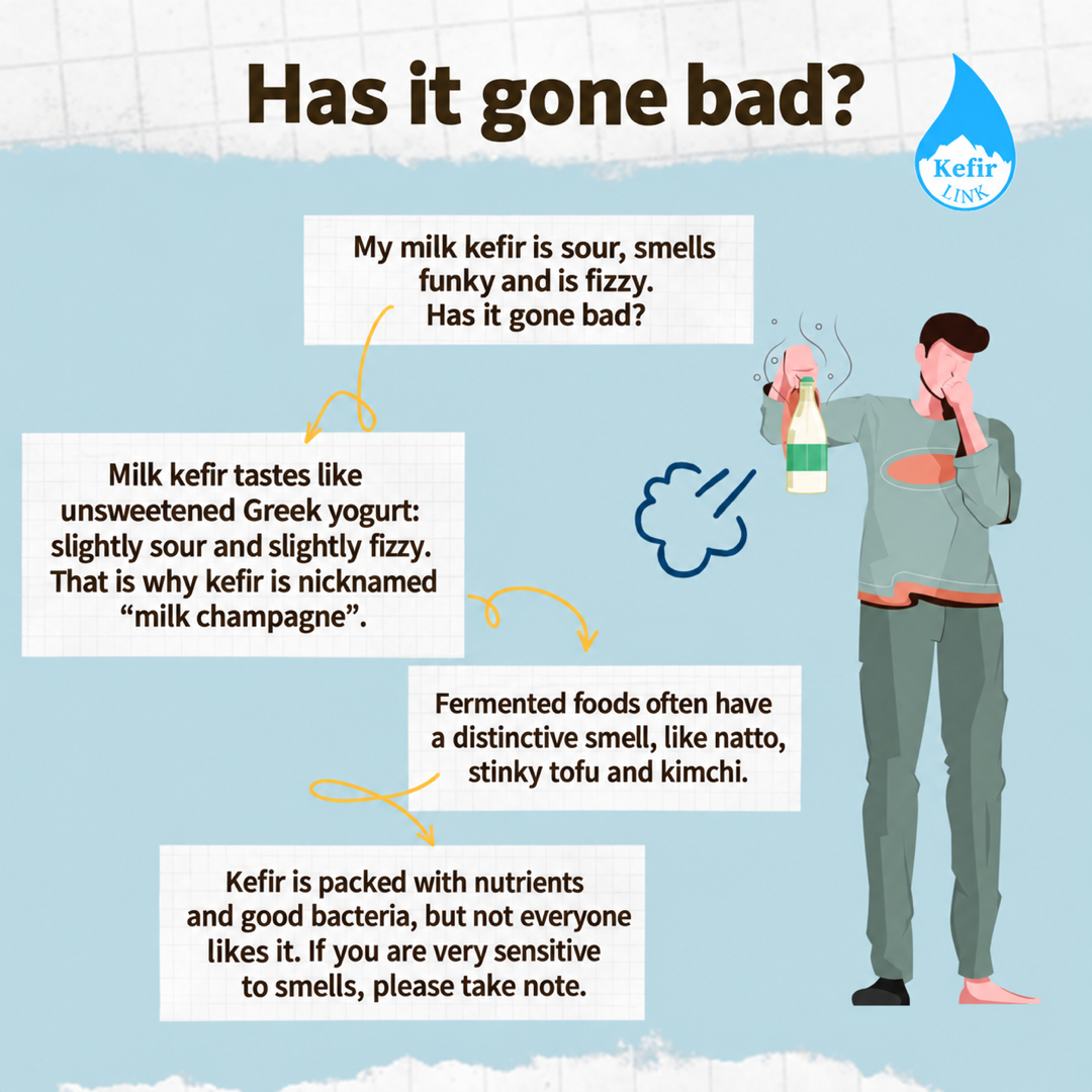 Has my milk kefir gone bad? Sour, fizzy and strong-smelling is normal, as with other fermented foods