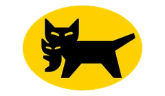 Black Cat