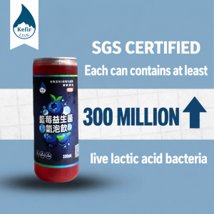 Blueberry water kefir 330 ml can: SGS certified, at least 300 million live lactic acid bacteria per can