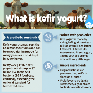 What is kefir yogurt?